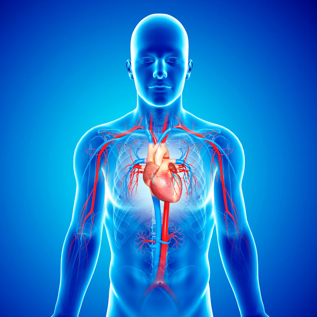 Nuvivo Men's Health Assessment - Image 5
